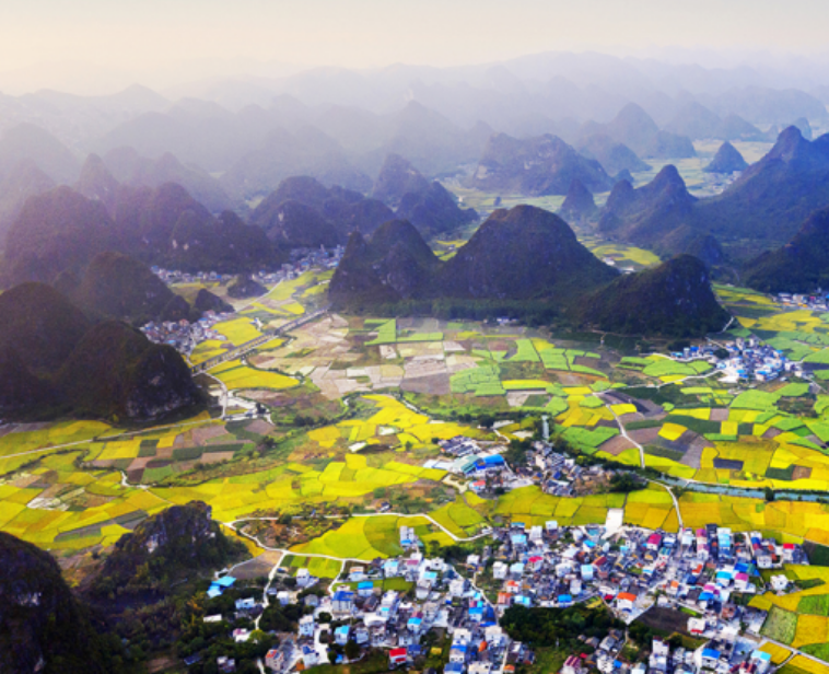 【“飛閱”中國】田園畫卷里的“振興之路”