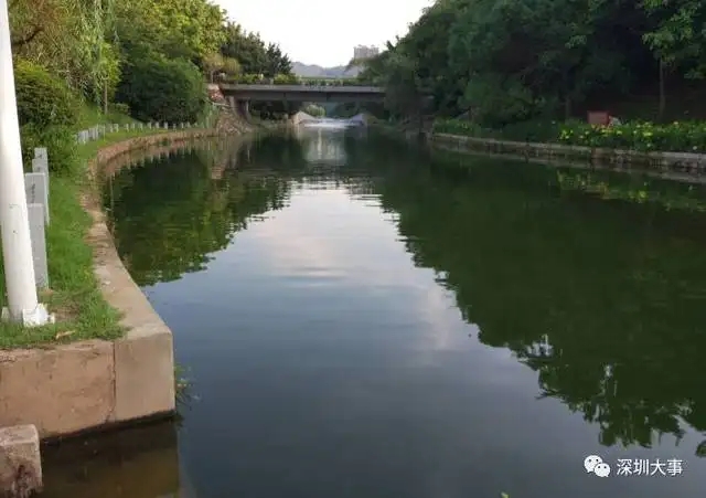河水水體微生物原位修復技術